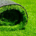 Enhancing Your Lawn with Innovative Technology