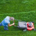 Exploring the Future of Lawn Care in New Zealand