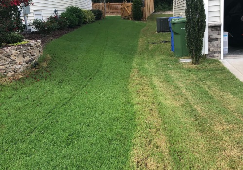 Exploring the Differences Between Commercial and Residential Robotic Mowers