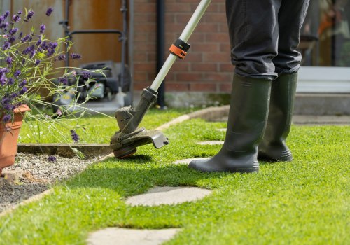 Essential Steps for a Pristine Lawn