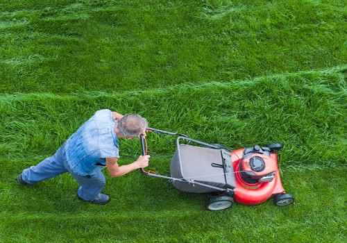 Exploring the Future of Lawn Care in New Zealand